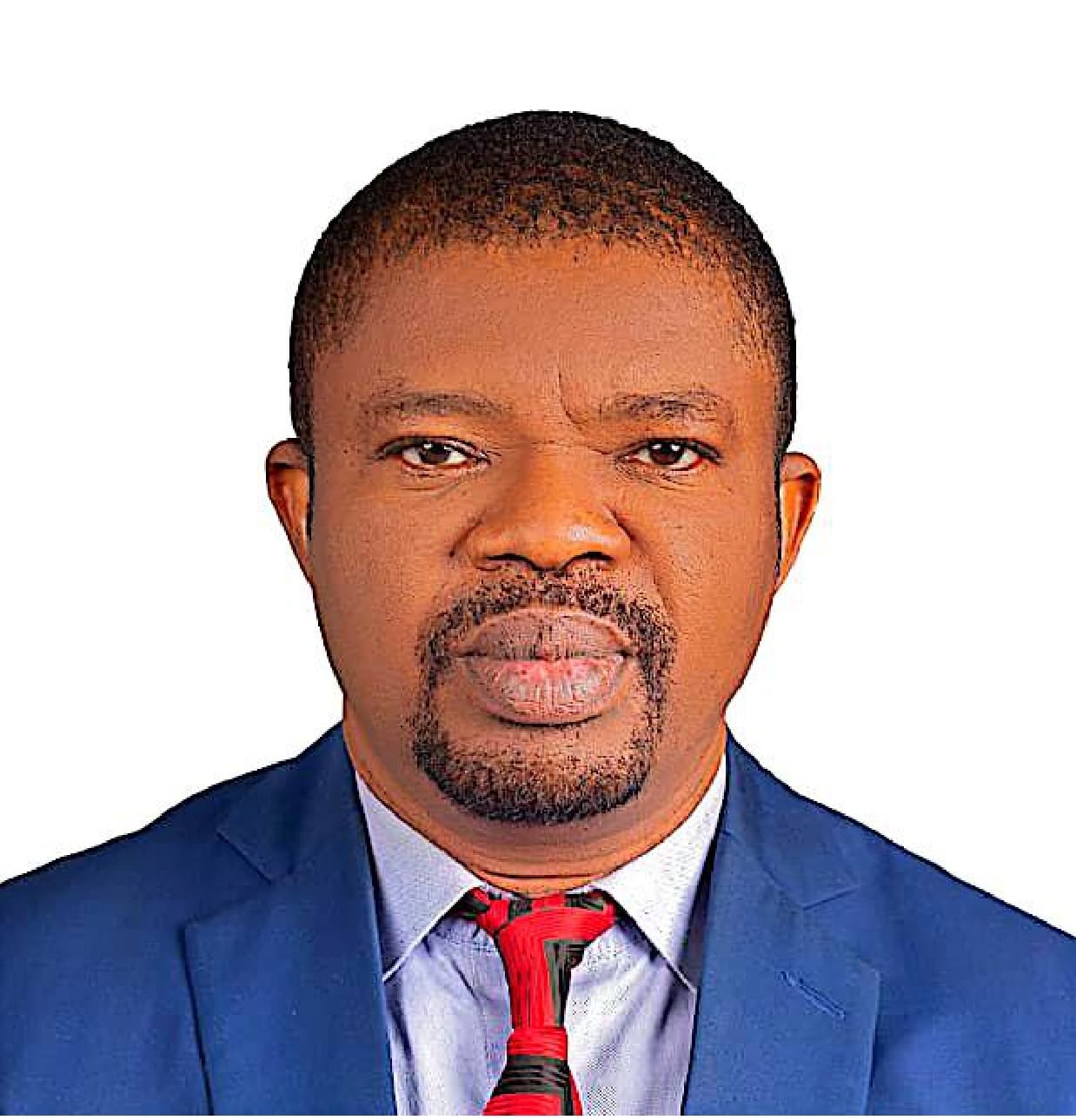 UKWUANI PETER OKECHUKWU portrait